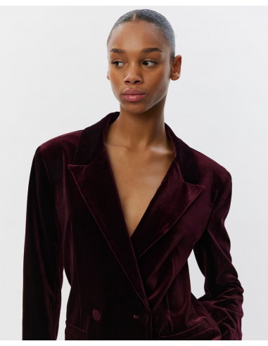 VIVIANSW BLAZER - Burgundy des créatures d'habitude