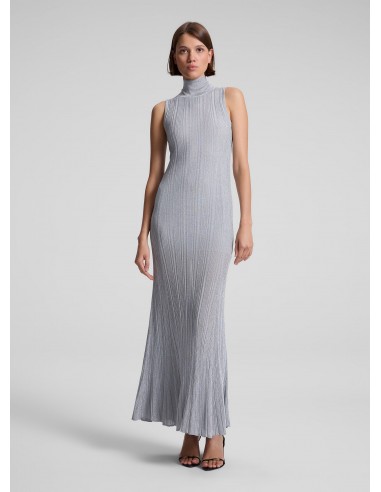 Arden Metallic Knit Maxi Dress Comment ça marche