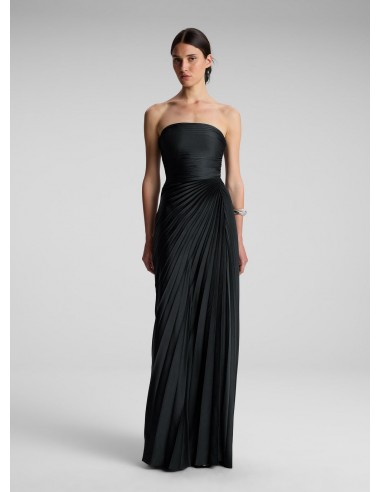 Bianca Strapless Pleated Maxi Dress Faites des économies